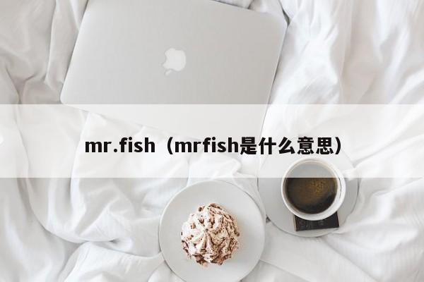 mr.fish（mrfish是什么意思）