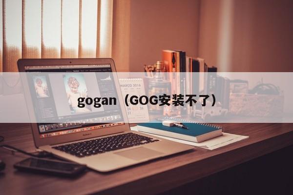 gogan（GOG安装不了）