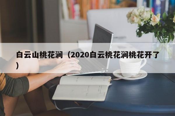 白云山桃花涧（2020白云桃花涧桃花开了）