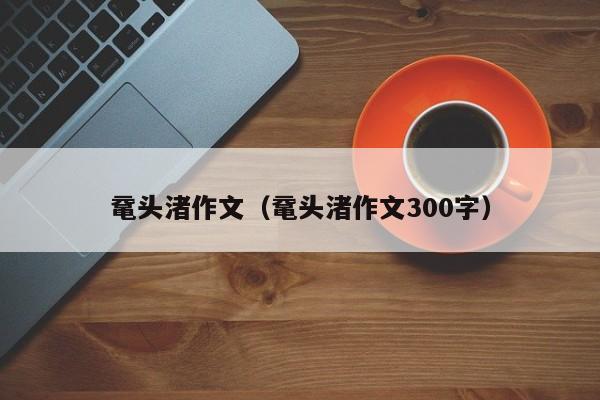 鼋头渚作文（鼋头渚作文300字）