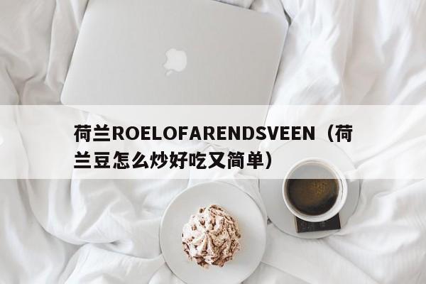 荷兰ROELOFARENDSVEEN（荷兰豆怎么炒好吃又简单）